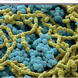 WINGS-4-FGS Researchers Contribute to New Publication on Female Genital Schistosomiasis